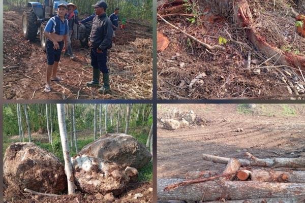 Pemotongan Kayu dan Pemindahan Batu Besar di TKD Wonojati Atas Gunung Jenggawah Soal Warga, ditakutkan Terjadi Longsor 